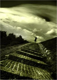 Image Image
